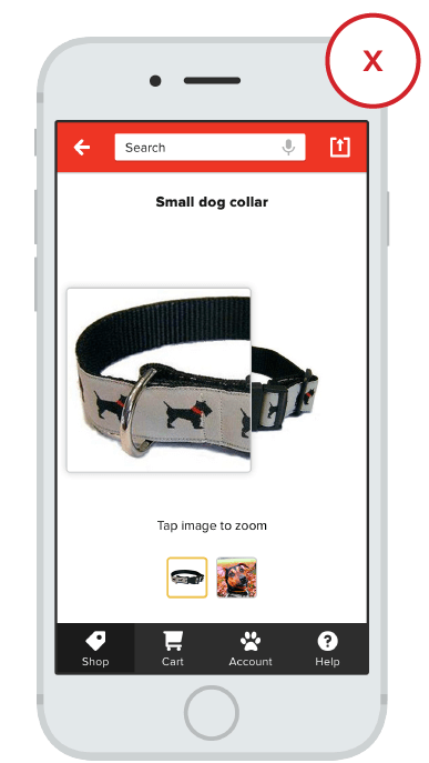 More Than Just Pretty: How Imagery Drives User Experience